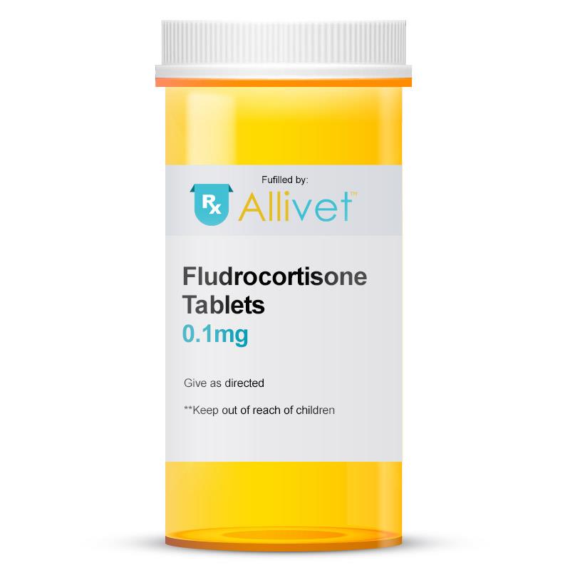 Fludrocortisone Acetate 0.1 mg, 50 Tablets