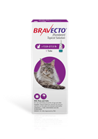 Bravecto Topical Solution for Cats, 13.8 - 27.5 lbs 500 mg (Purple) 
