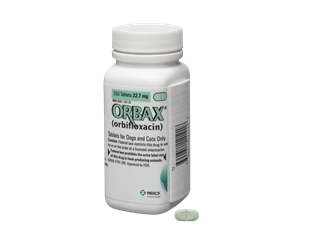 Orbax 22.7 mg, One Tablet